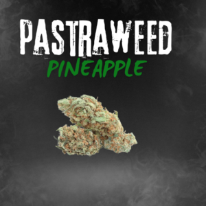 Pastraweed - Fleur de CBD Souche Pineapple au Goût Tropical