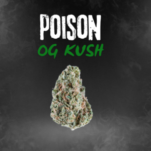 Poison - Fleur de CBD - OG Kush