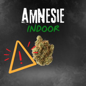 Amnésie – Fleur CBD Puissante & Saveur Intense | Relax Mood