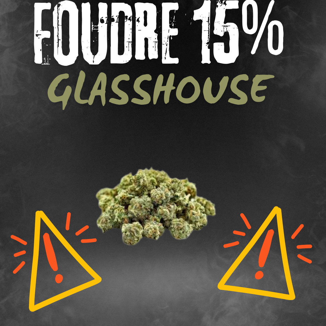 FOUDRE – Fleur Puissante par Relax Mood